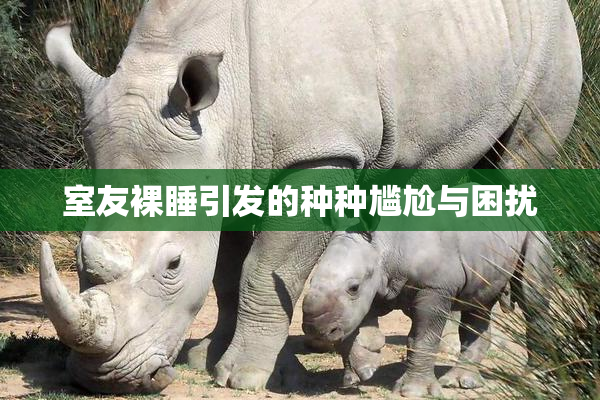 室友裸睡引发的种种尴尬与困扰