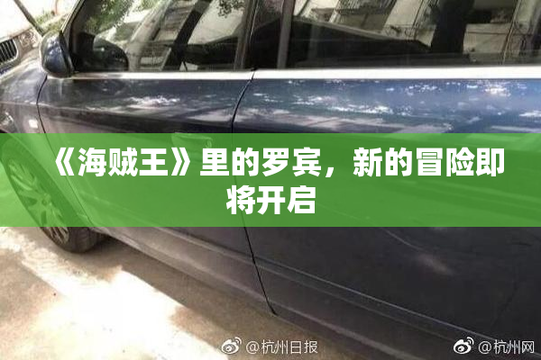 《海贼王》里的罗宾，新的冒险即将开启