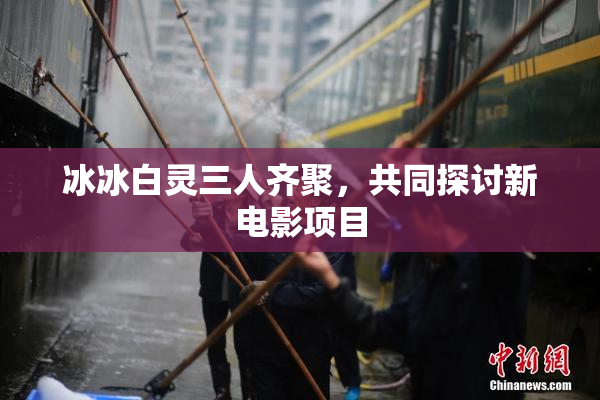 冰冰白灵三人齐聚，共同探讨新电影项目