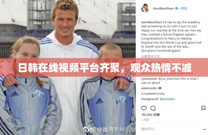 日韩在线视频平台齐聚，观众热情不减