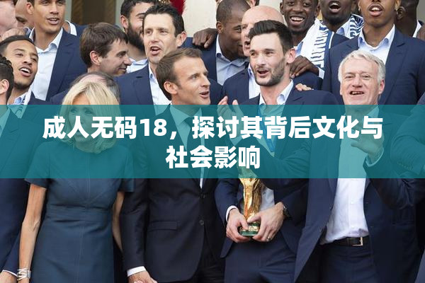 成人无码18，探讨其背后文化与社会影响