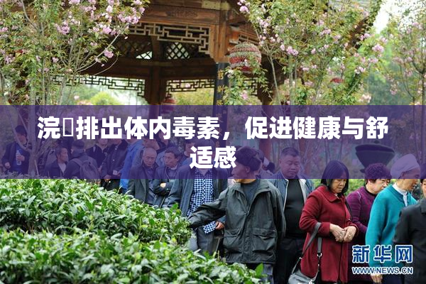 浣腸排出体内毒素，促进健康与舒适感