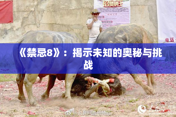 《禁忌8》：揭示未知的奥秘与挑战