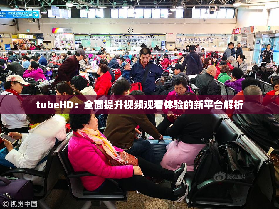 tubeHD：全面提升视频观看体验的新平台解析