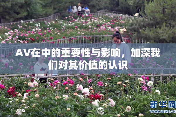 AV在中的重要性与影响，加深我们对其价值的认识