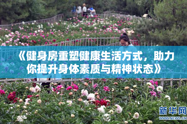《健身房重塑健康生活方式，助力你提升身体素质与精神状态》