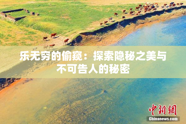 乐无穷的偷窥：探索隐秘之美与不可告人的秘密