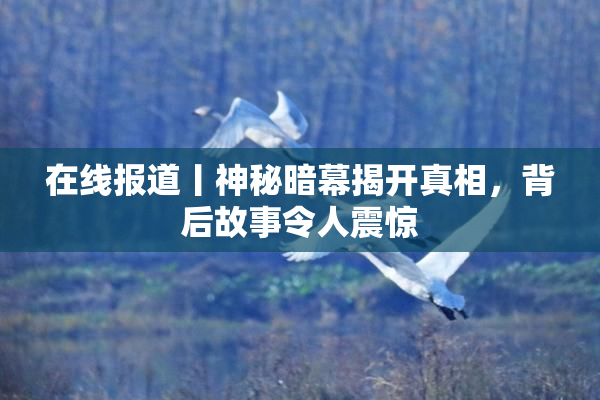 在线报道丨神秘暗幕揭开真相，背后故事令人震惊