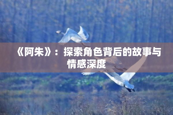 《阿朱》：探索角色背后的故事与情感深度