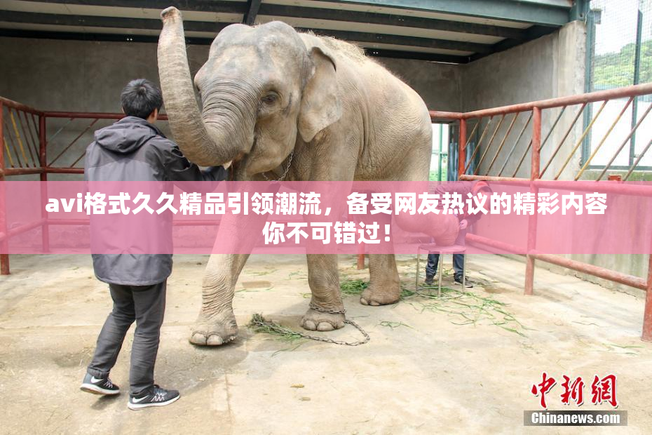 avi格式久久精品引领潮流，备受网友热议的精彩内容你不可错过！