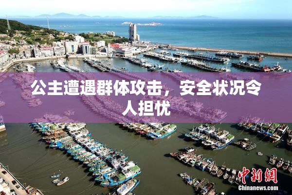 公主遭遇群体攻击，安全状况令人担忧