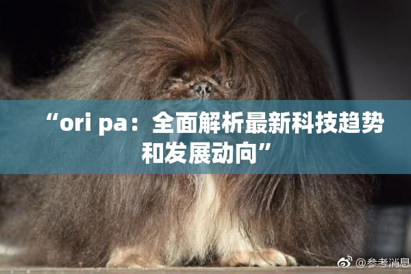 “ori pa：全面解析最新科技趋势和发展动向”