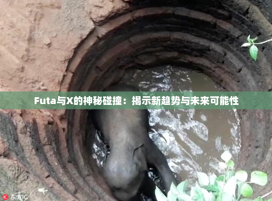 Futa与X的神秘碰撞：揭示新趋势与未来可能性
