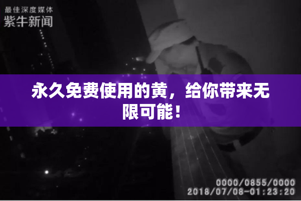 永久免费使用的黄，给你带来无限可能！