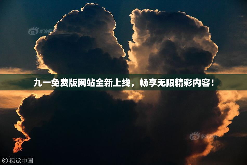 九一免费版网站全新上线，畅享无限精彩内容！