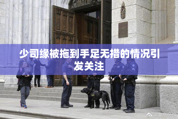 少司缘被拖到手足无措的情况引发关注