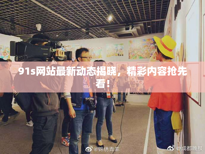 91s网站最新动态揭晓，精彩内容抢先看！