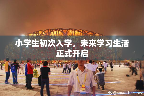 小学生初次入学，未来学习生活正式开启