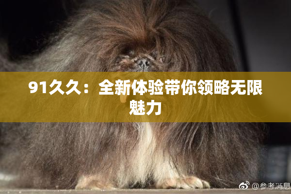 91久久：全新体验带你领略无限魅力