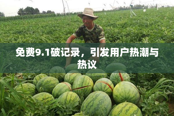 免费9.1破记录，引发用户热潮与热议