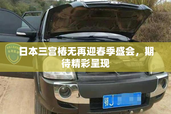 日本三宫椿无再迎春季盛会，期待精彩呈现