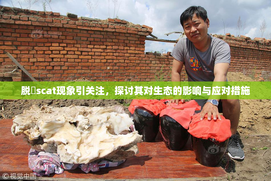 脱糞scat现象引关注，探讨其对生态的影响与应对措施