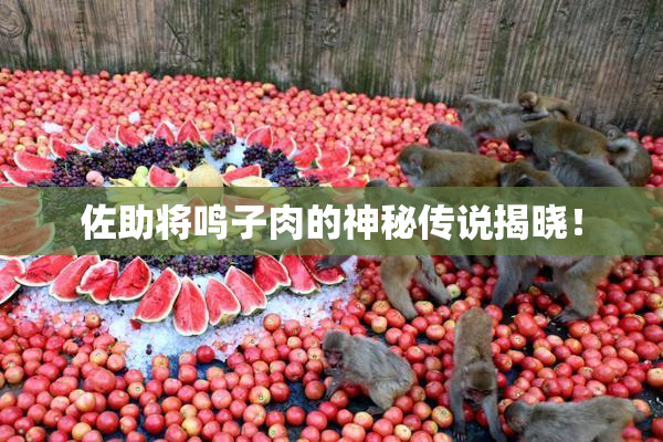 佐助将鸣子肉的神秘传说揭晓！