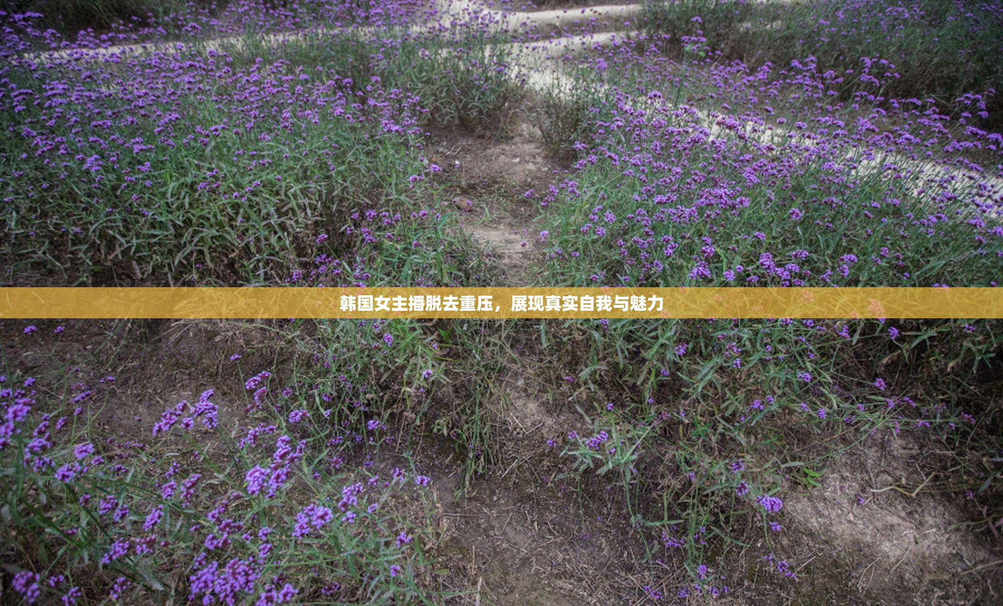 韩国女主播脱去重压，展现真实自我与魅力