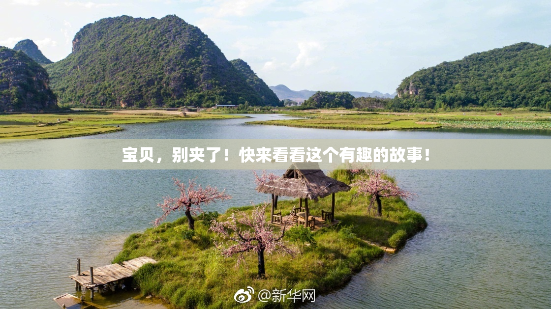 宝贝，别夹了！快来看看这个有趣的故事！