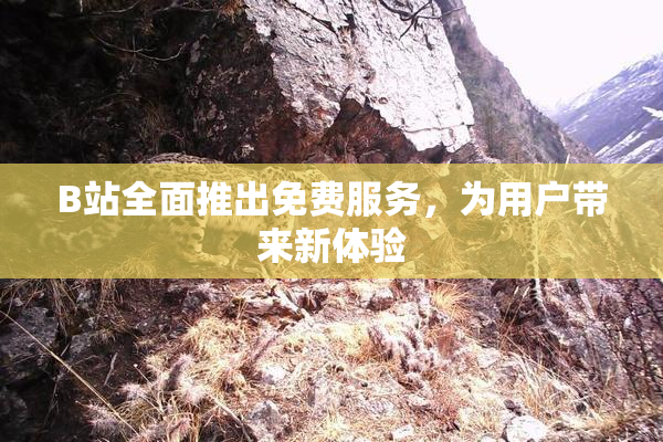 B站全面推出免费服务，为用户带来新体验
