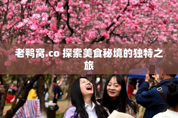 老鸭窝.co 探索美食秘境的独特之旅