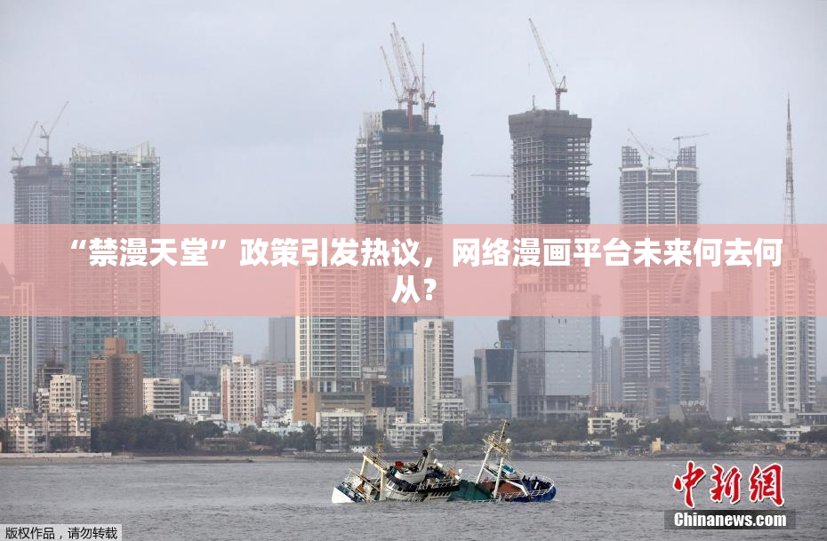 “禁漫天堂”政策引发热议，网络漫画平台未来何去何从？