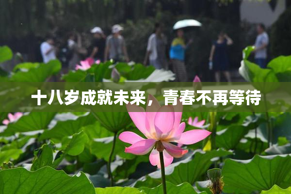 十八岁成就未来，青春不再等待