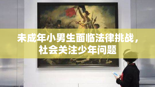 未成年小男生面临法律挑战，社会关注少年问题