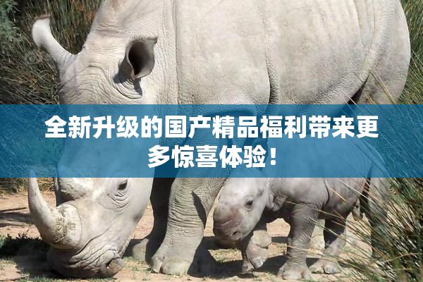 全新升级的国产精品福利带来更多惊喜体验！