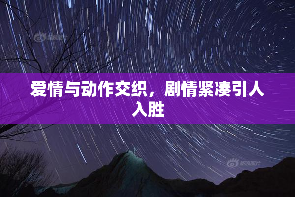 爱情与动作交织，剧情紧凑引人入胜