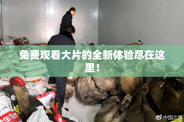 免费观看大片的全新体验尽在这里！
