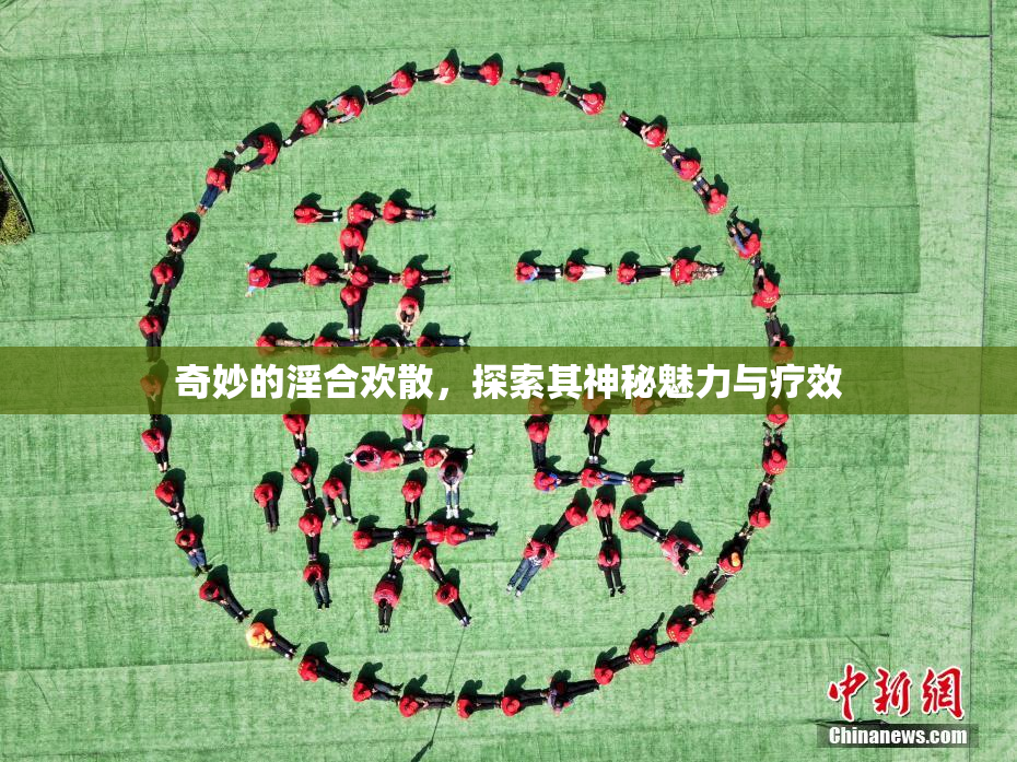 奇妙的淫合欢散，探索其神秘魅力与疗效