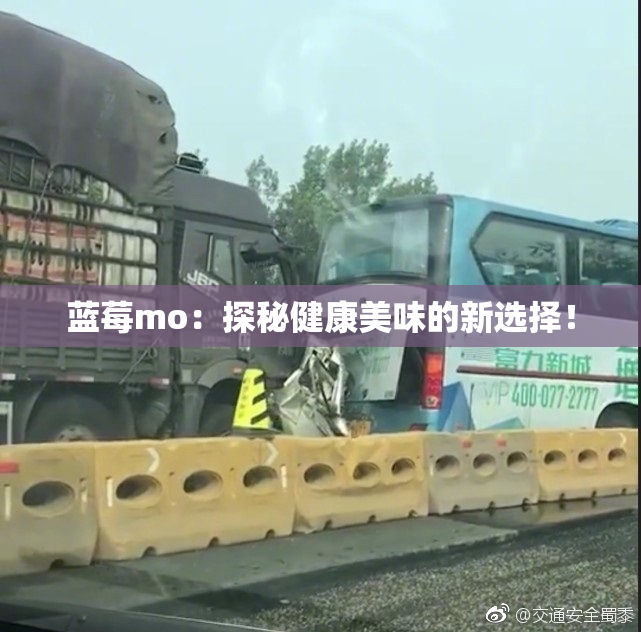 蓝莓mo：探秘健康美味的新选择！