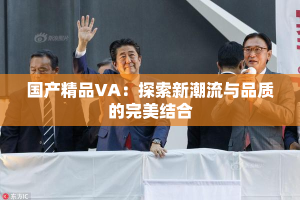 国产精品VA：探索新潮流与品质的完美结合