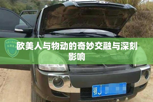 欧美人与物动的奇妙交融与深刻影响