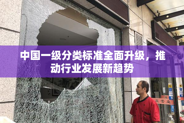 中国一级分类标准全面升级，推动行业发展新趋势