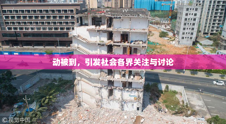 动被到，引发社会各界关注与讨论