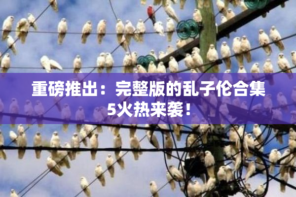 重磅推出：完整版的乱子伦合集5火热来袭！