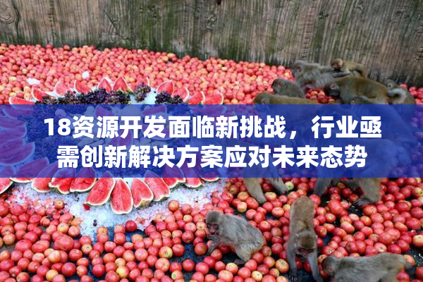 18资源开发面临新挑战，行业亟需创新解决方案应对未来态势