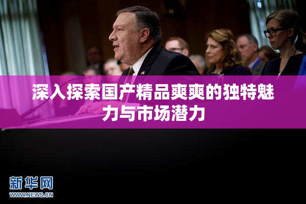 深入探索国产精品爽爽的独特魅力与市场潜力