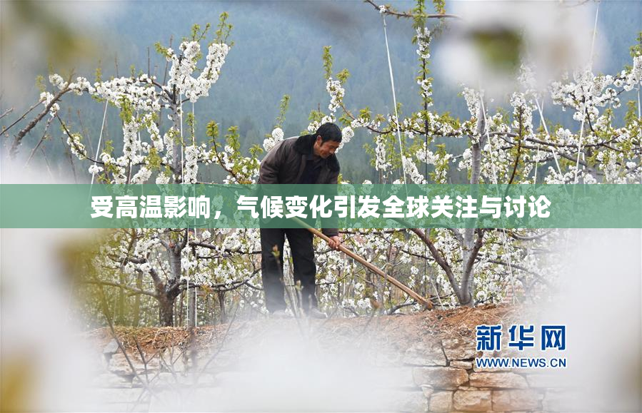 受高温影响，气候变化引发全球关注与讨论