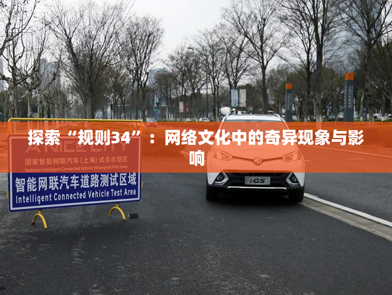 探索“规则34”：网络文化中的奇异现象与影响