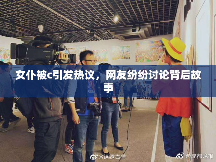 女仆被c引发热议，网友纷纷讨论背后故事