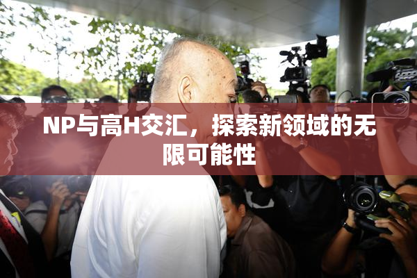 NP与高H交汇，探索新领域的无限可能性